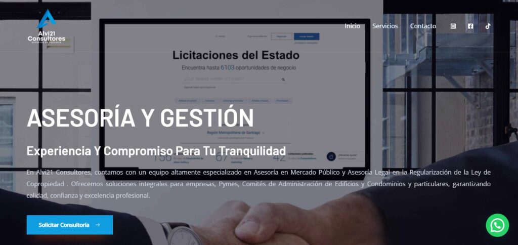 Alvi 21 Consultores